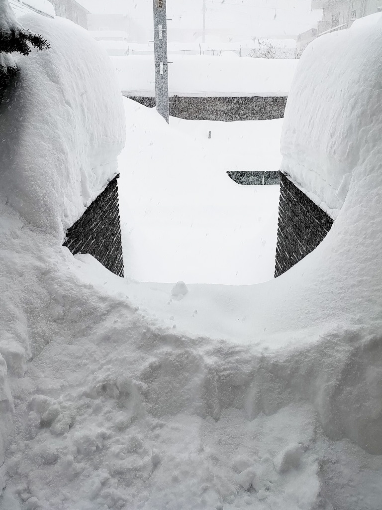 本日の買取出張は延期です